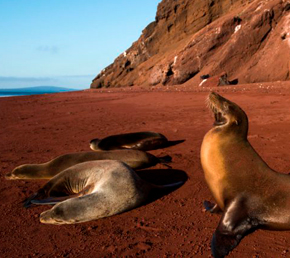 Rabida-galapagos-islands