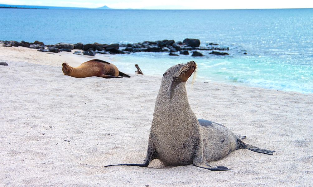 galapagos-treasure-route-b