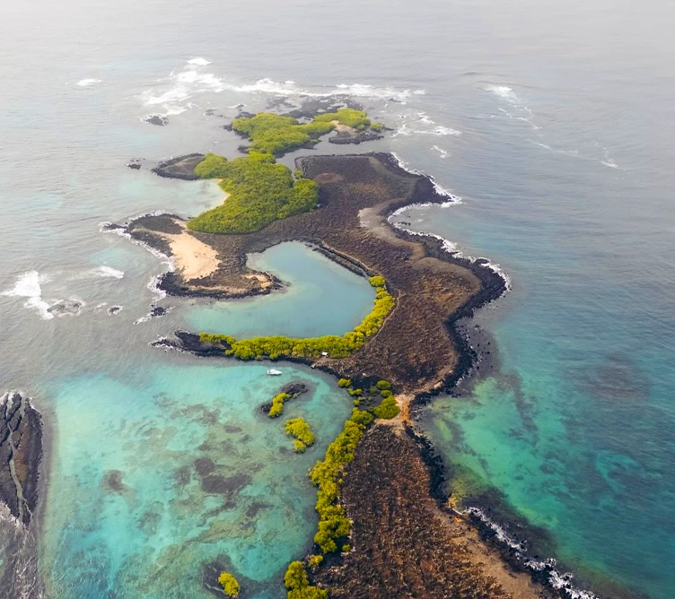 galapagos-unique-experience