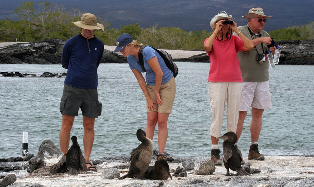 galapagos-excursion-experience